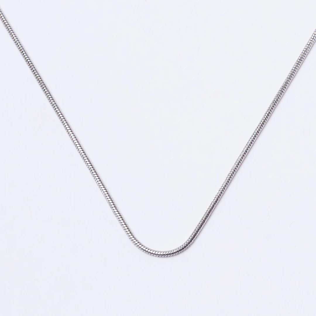 Snake Silver Chain